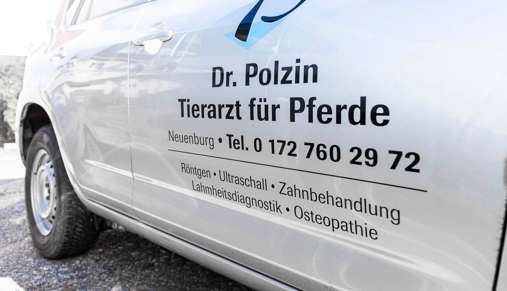 Tierarztpraxis Dr. Polzin Neuenburg - Impressionen